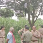 पिपरिया दुलई में पेड़ से लटकता मिला युवक, गांव में मचा हड़कंप