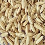 धान और चावल जैसा ही मानव स्वरूप है