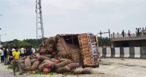 गुलामीपुर ब्रिज पर सब्जियों से लदा ट्रक पलटा