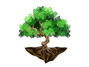 प्रकृति ज्ञान से जल विज्ञान तक